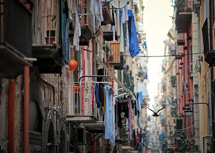 AM Home Napoli Center